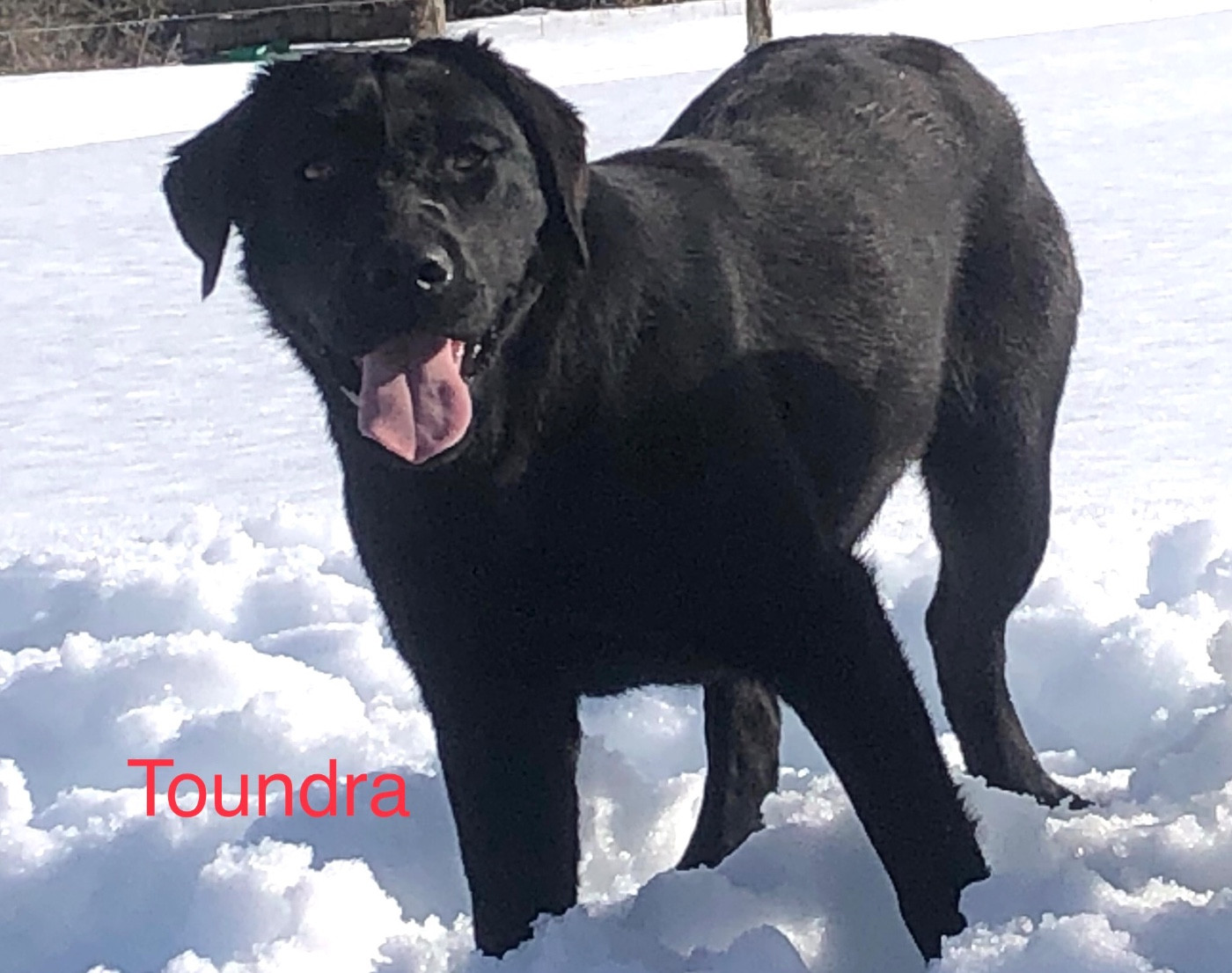 « toundra » tiktok du domaine d'istrias