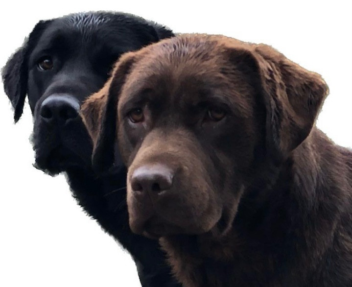 Prochaine naissance : 02/05/26